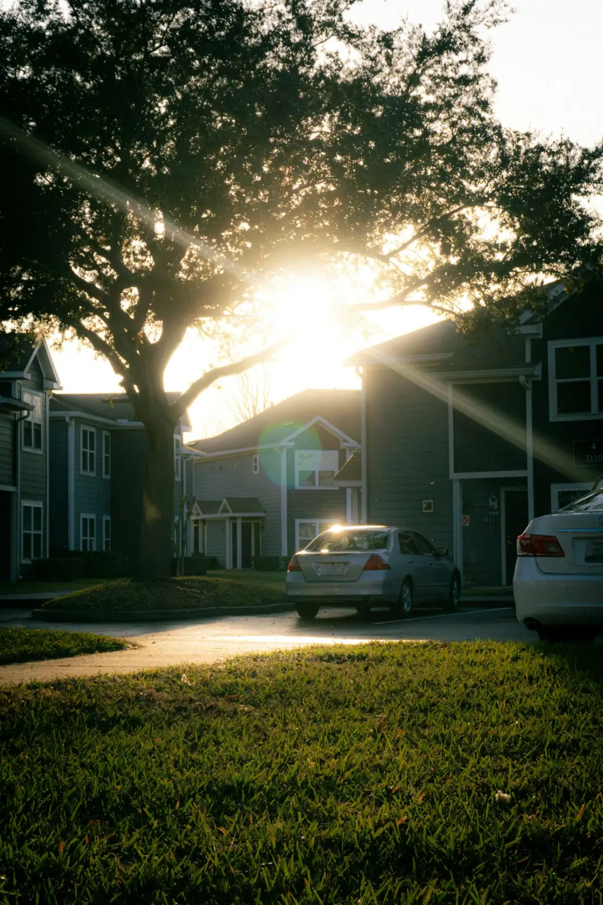 Two-story garden apartments and resident parking in golden-hour light